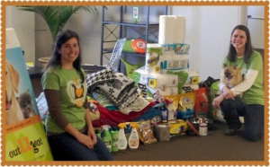 Maxfund-No-Kill-Shelter-Donations-624x387