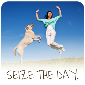 Seize the Day.