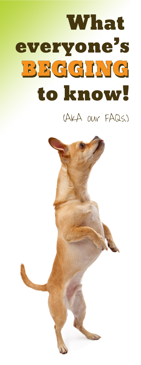 Our FAQs