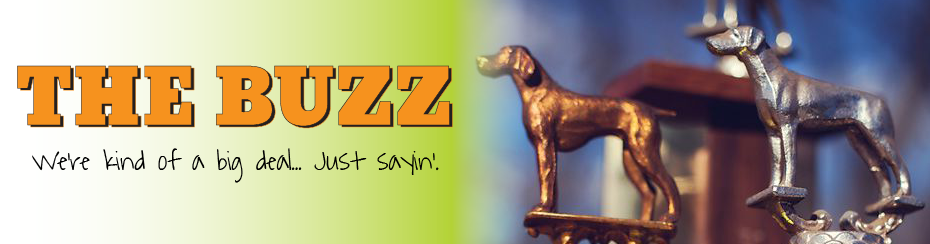 The Buzz. We're kind of a big deal... Just sayin'.