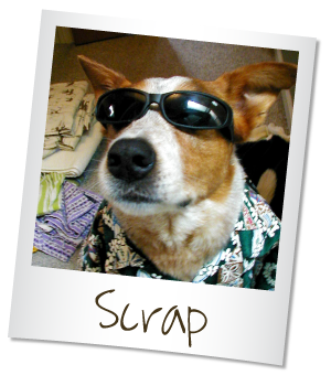 Scrap Dog